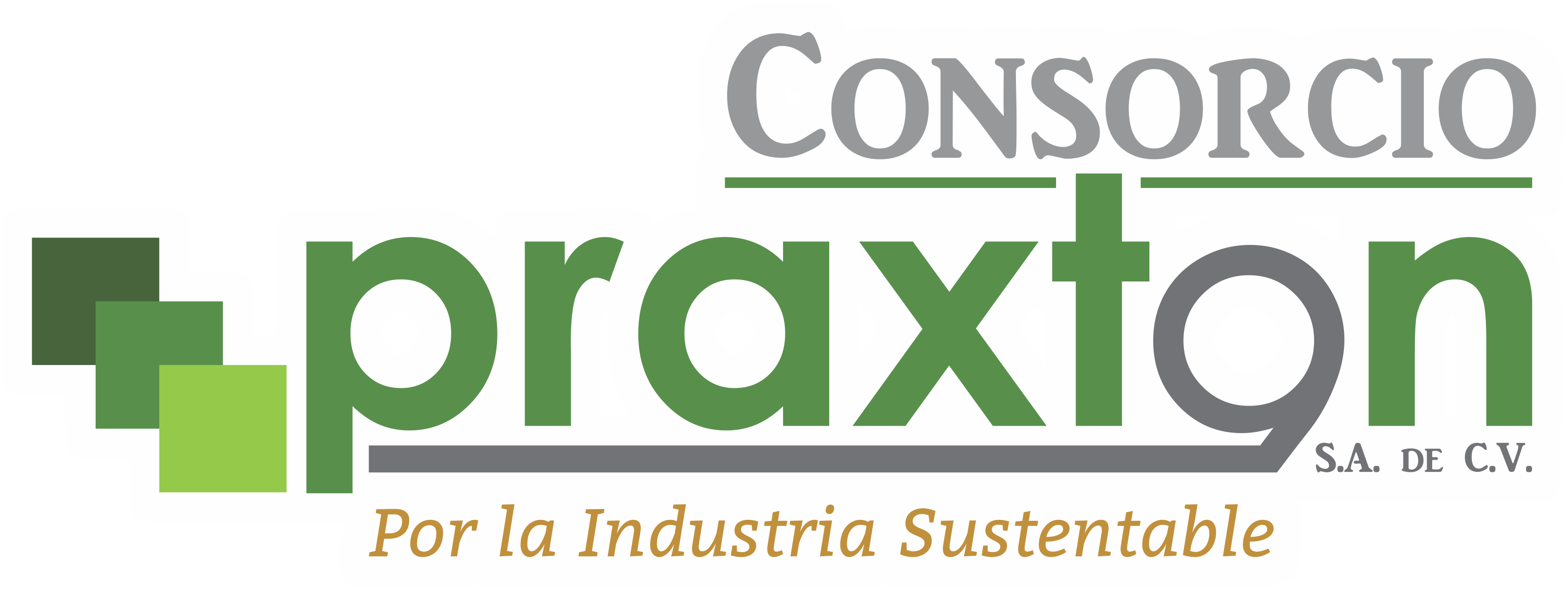 Consorcio Praxton